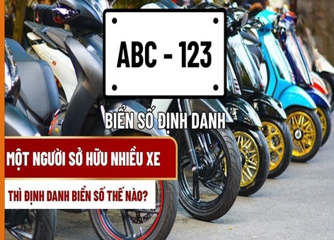 Người sở hữu nhiều xe sẽ định danh biển số như thế nào?