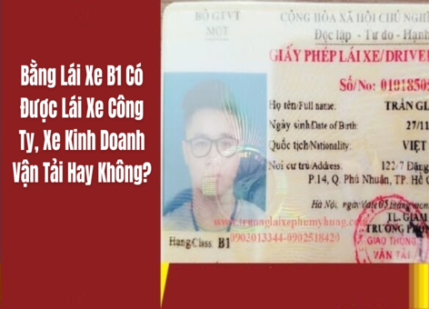 Bằng Lái Xe B1 Có Được Lái Xe Công Ty, Xe Kinh Doanh Vận Tải Hay Không?
