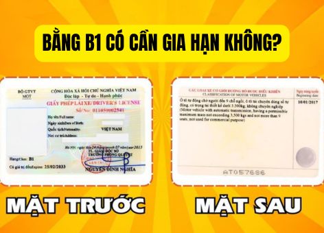 Bằng B1 Có Cần Gia Hạn Không? Thủ Tục Thế Nào Theo Quy Định 2025