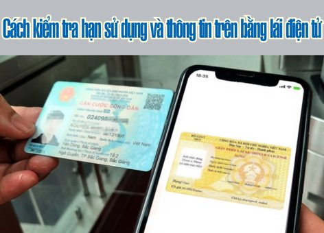 Cách Kiểm Tra Hạn Sử Dụng Và Thông Tin Trên Bằng Lái Điện Tử Nhanh Chóng, Chính Xác Nhất