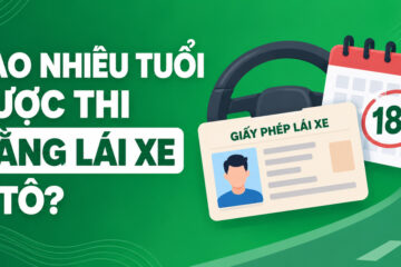 Bao nhiêu tuổi được thi bằng lái xe ô tô? Quy định mới nhất