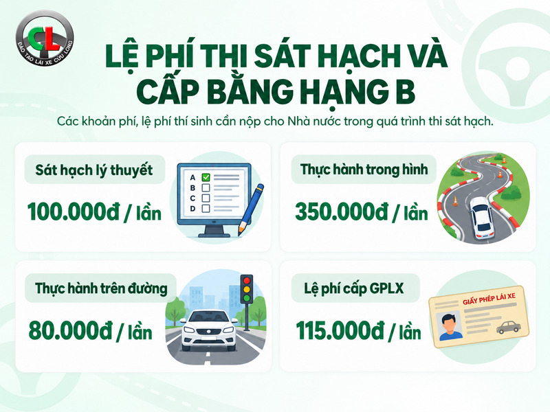 quy trình thi bằng lái xe b1